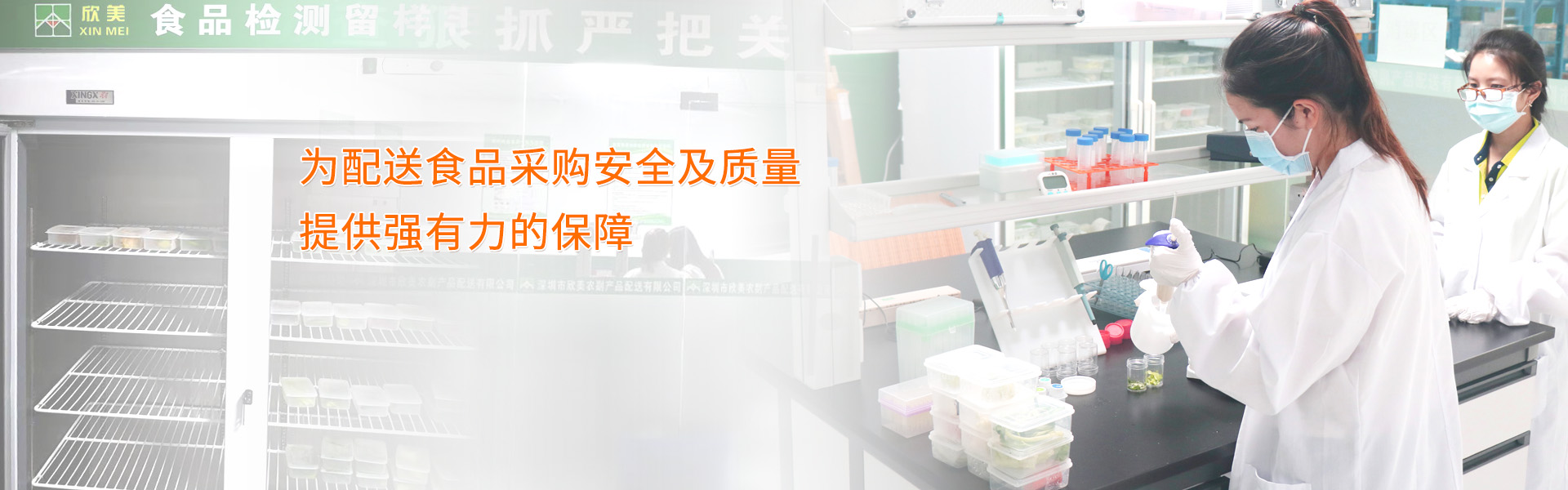 綠色蔬菜，吃出健康來；新鮮美味，健康放心的專業蔬菜配送公司